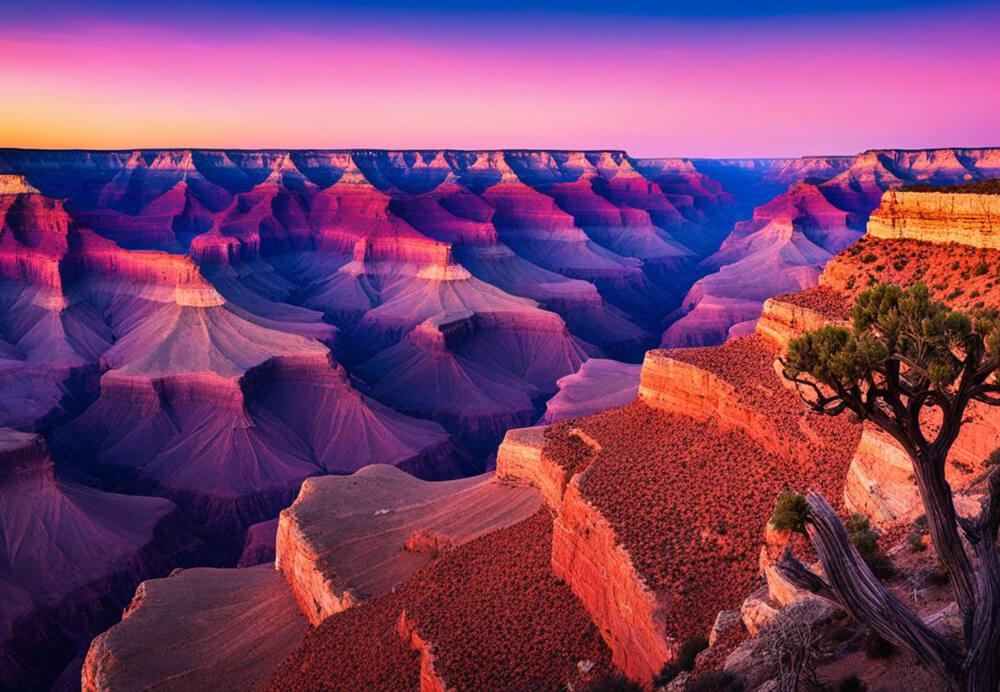 The Ultimate Guide to Charter Bus Rental in Phoenix, Arizona